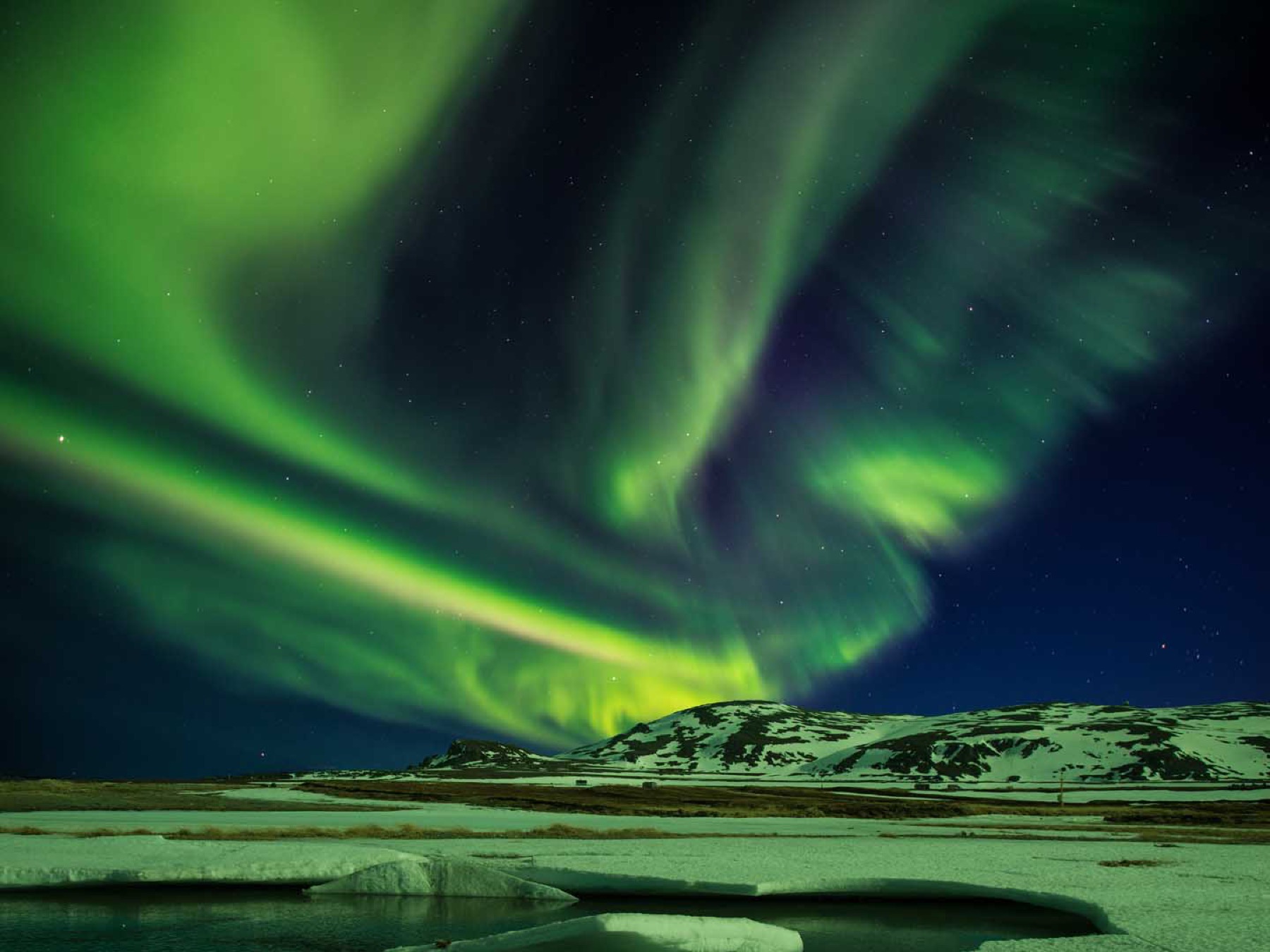 Nordlys og vinterkyst