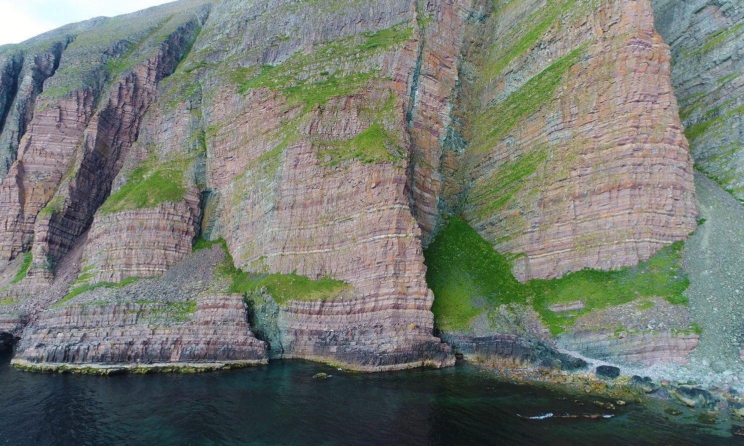 Fuglekikking i Varanger — bilde 3
