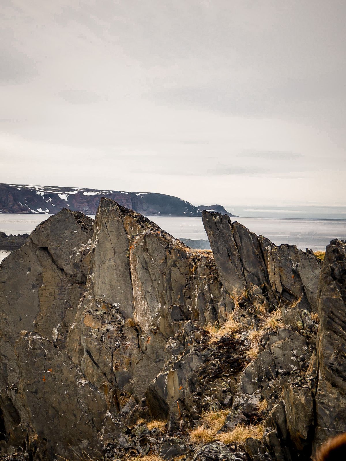 Sommertur til Makkaur–Sandfjorden — bilde 3